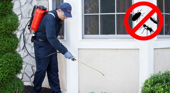 Pazarcık Hamam Böceği İlaçlama böcek ilaçlama ve haşere kontrolü — ilaclama-tr.com